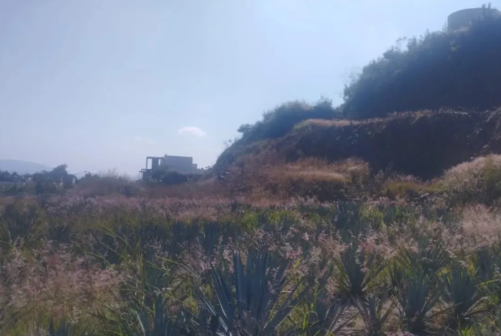 Localizan siete fosas y restos humanos en Zapopan