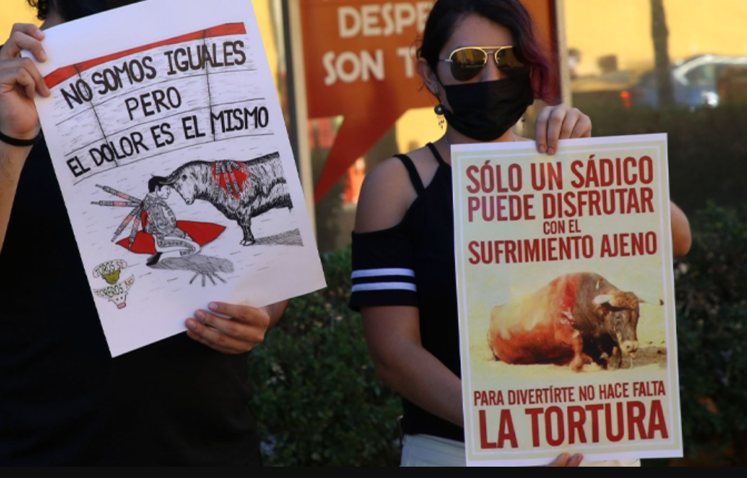 Regresan las corridas de toros a CDMX