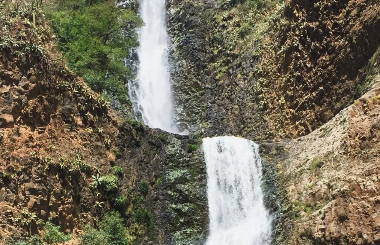 Invertirán 100 millones de pesos en proyectos para cuidar el agua en Jalisco