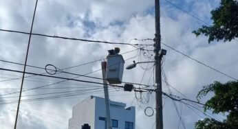 Tras 4 días, rescatan a gatito atrapado en la cima de un poste de CFE, en Cancún