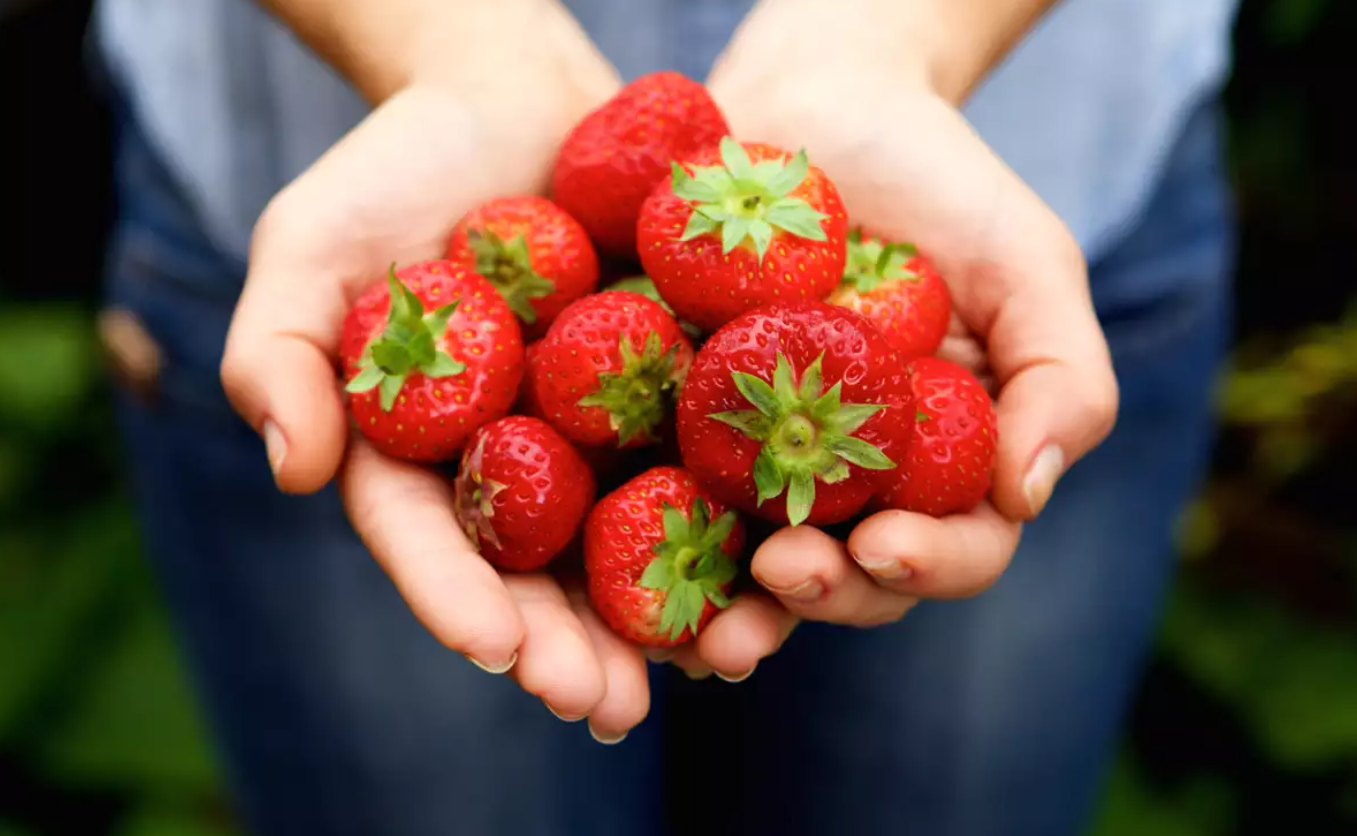Fresas, fruta alta en nutrientes