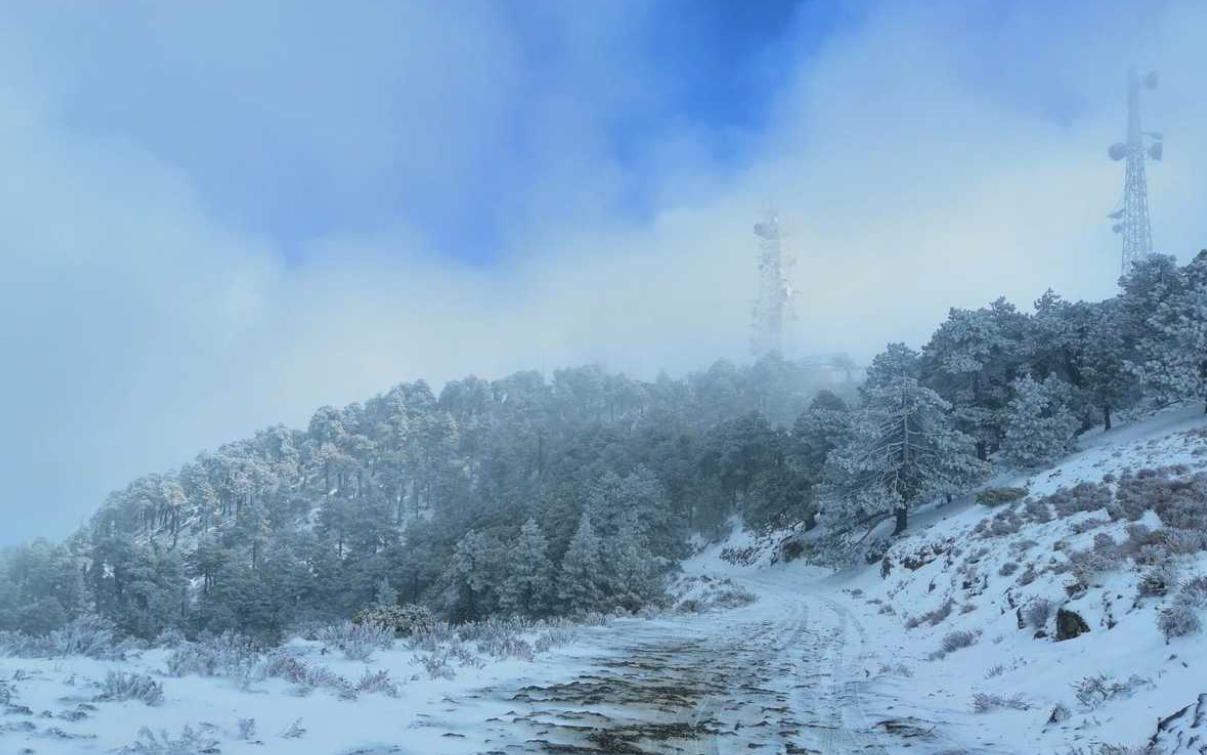 Nuevo León se ‘congela’ con temperaturas de -2 grados