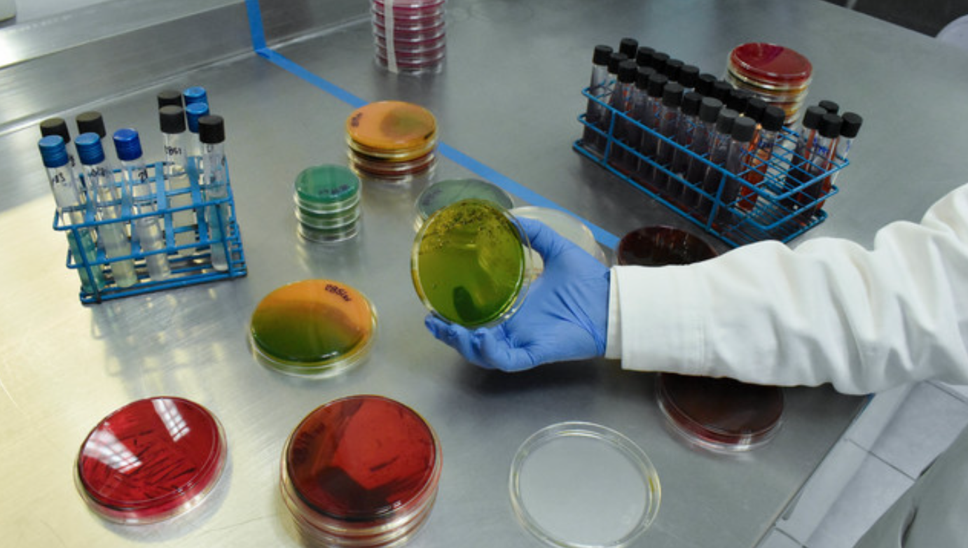 Fomenta Agricultura uso de fármacos en medicina veterinaria