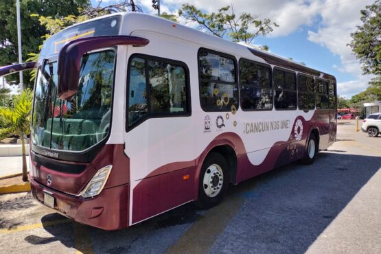 Dan marcha atrás a los camiones ‘guindas’ en Cancún