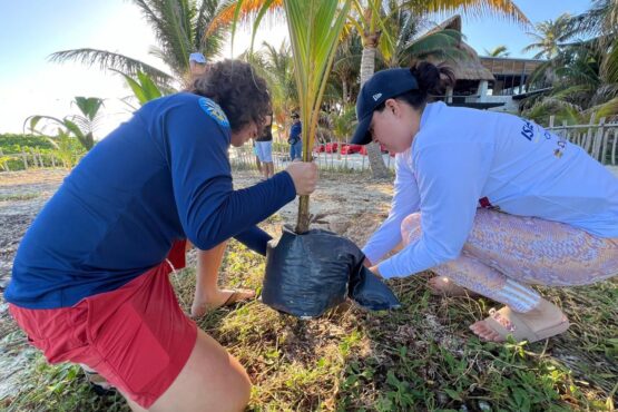 Gobierno Municipal de Isla Mujeres promueve la educación ambiental para la conservación de dunas costeras