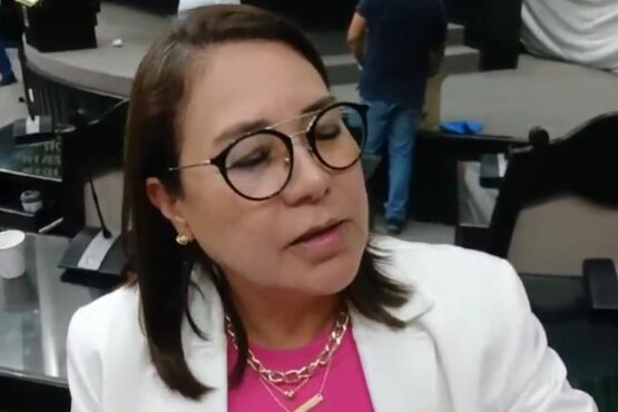 Anuncia Maritza Basurto su renuncia a Movimiento Ciudadano; "seré diputada independiente", afirma
