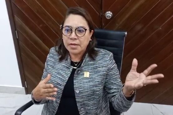 Acusa ex diputada de Movimiento Ciudadano el Dr. Pech de violencia política