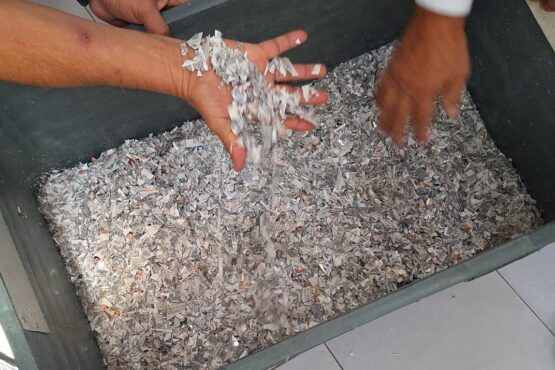 Destruyen 772 credenciales para votar en Quintana Roo