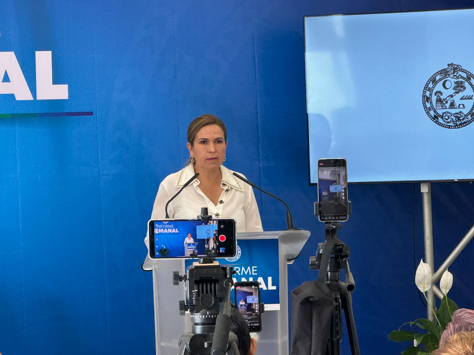 Lili Campos recalcó defender Playa 88, ante proyecto de CFE
