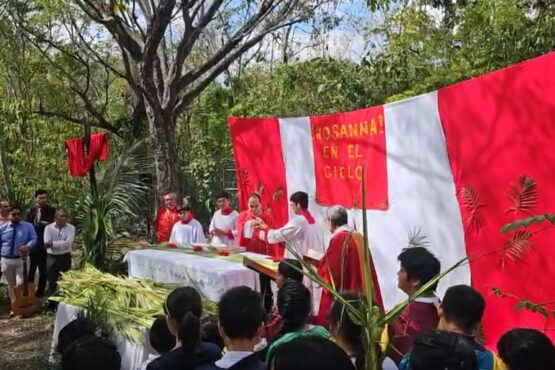 Celebran Domingo de Ramos en 79 parroquias