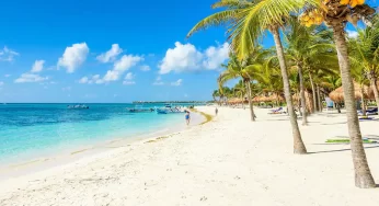 Simbología de banderas en playas