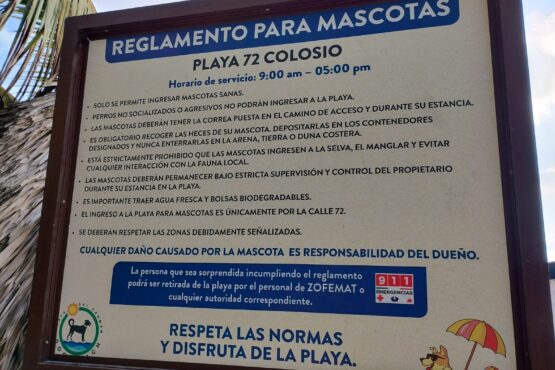Presentan reglamento para mascotas en la ‘playa de la Colosio’