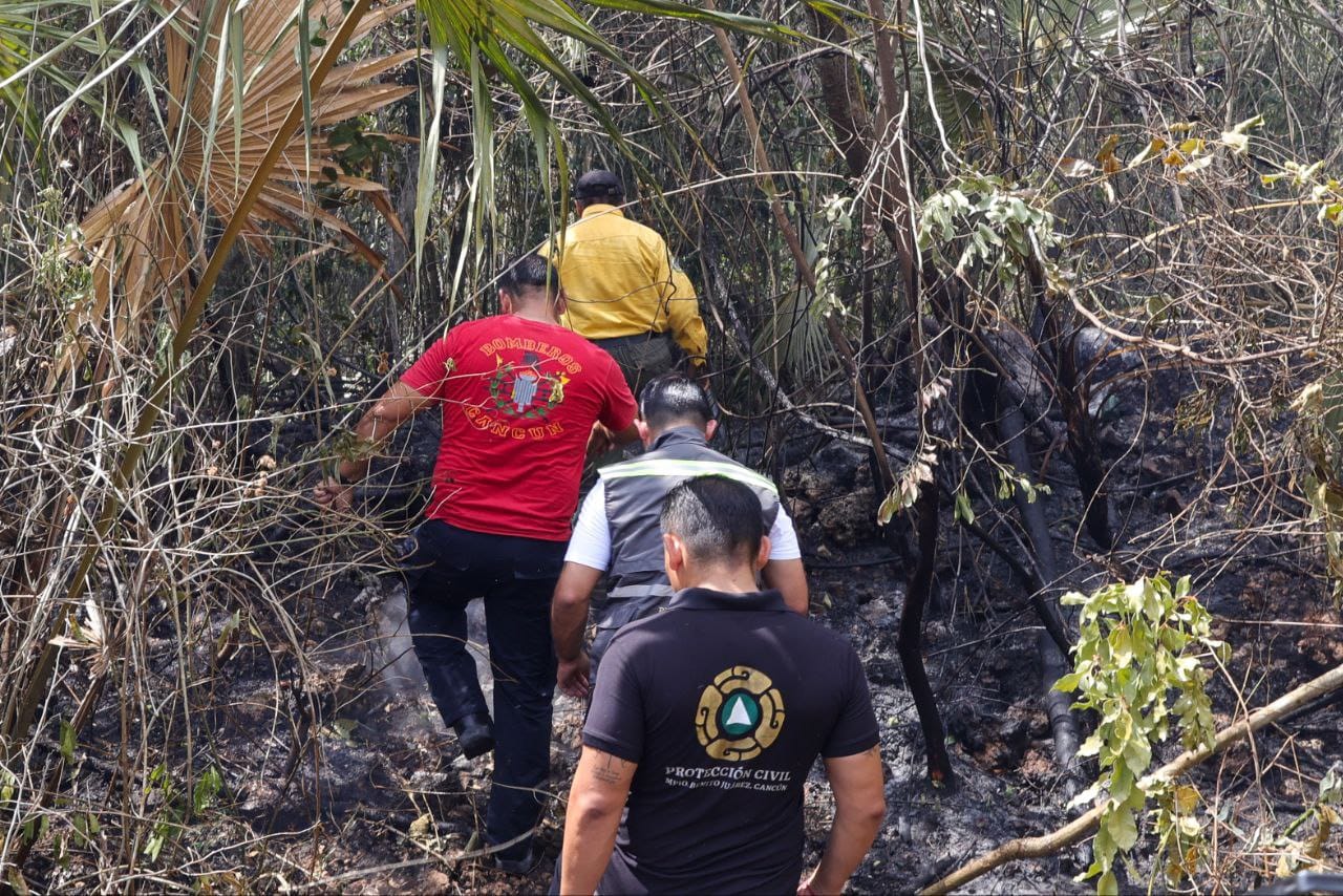 Con trabajo coordinado combaten incendios en Benito Juárez