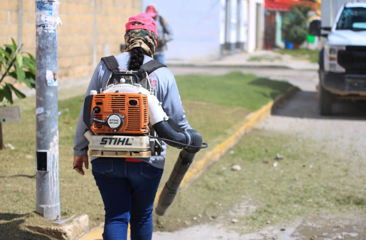 Define Estefanía Mercado líneas de acción para mejorar los servicios públicos de Solidaridad