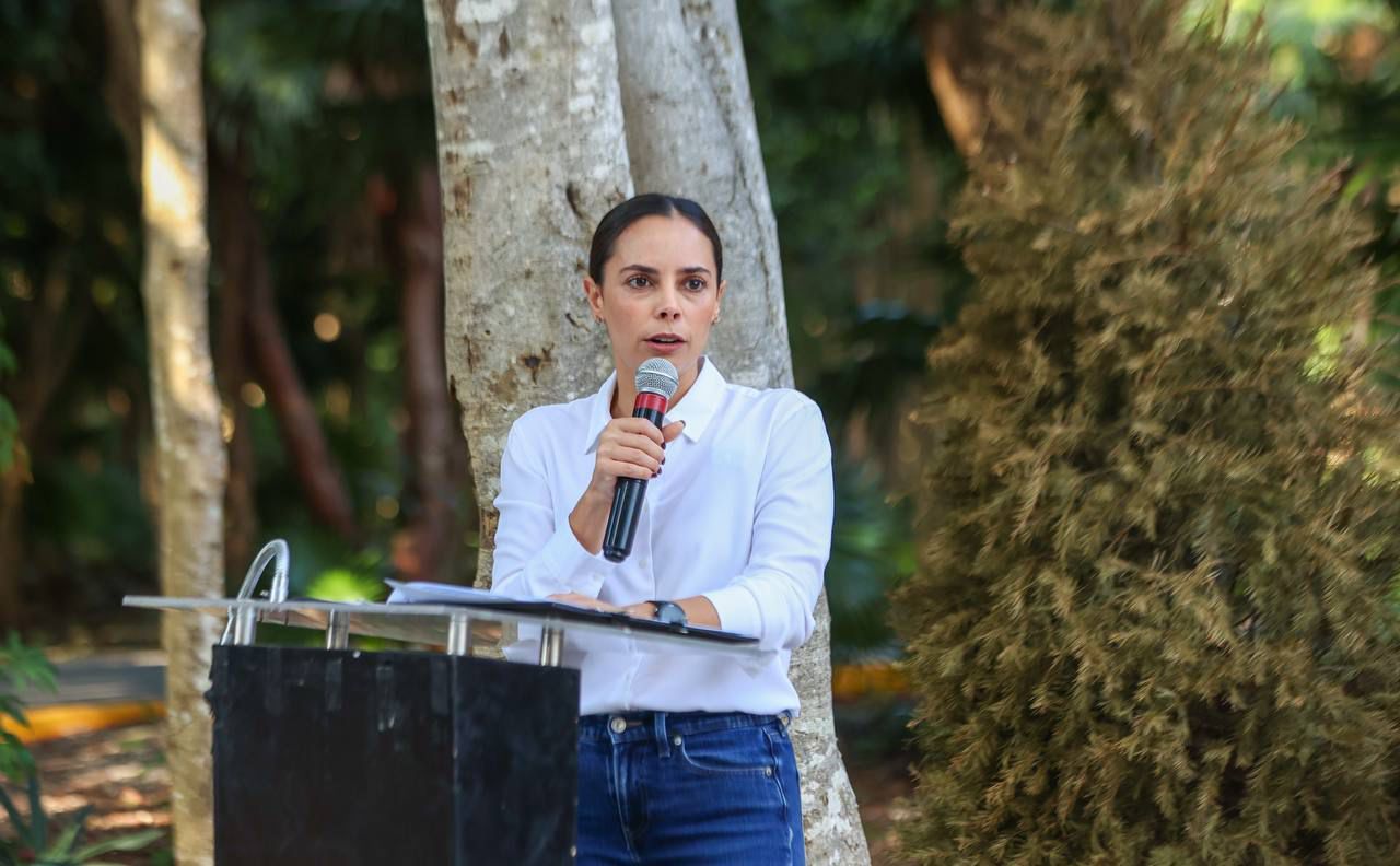 Arranca Ana Paty Peralta “Campaña de Acopio de Árboles de Navidad” temporada 2025