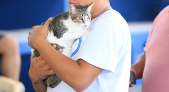 Con campaña de vacunación animal se refuerza la prevención de la Zoonosis en Playa del Carmen
