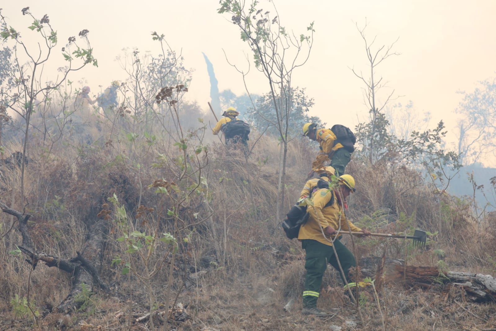 Controlan Incendio en El Bosque de La Primavera