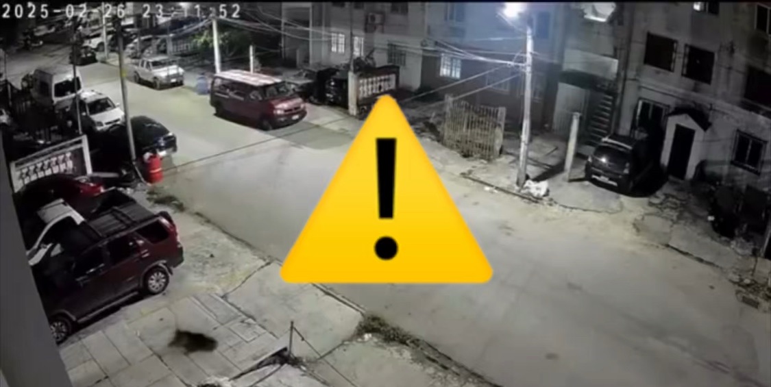 INDIGNANTE; Perrita es lanzada desde el cuarto piso de un departamento en la Región 96