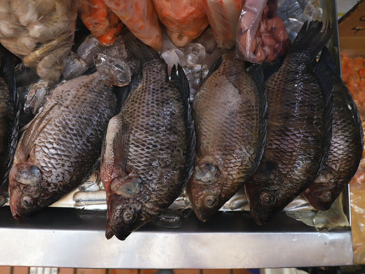 Supervisa Salud venta de mariscos; Exhortan a comprar en lugares establecidos