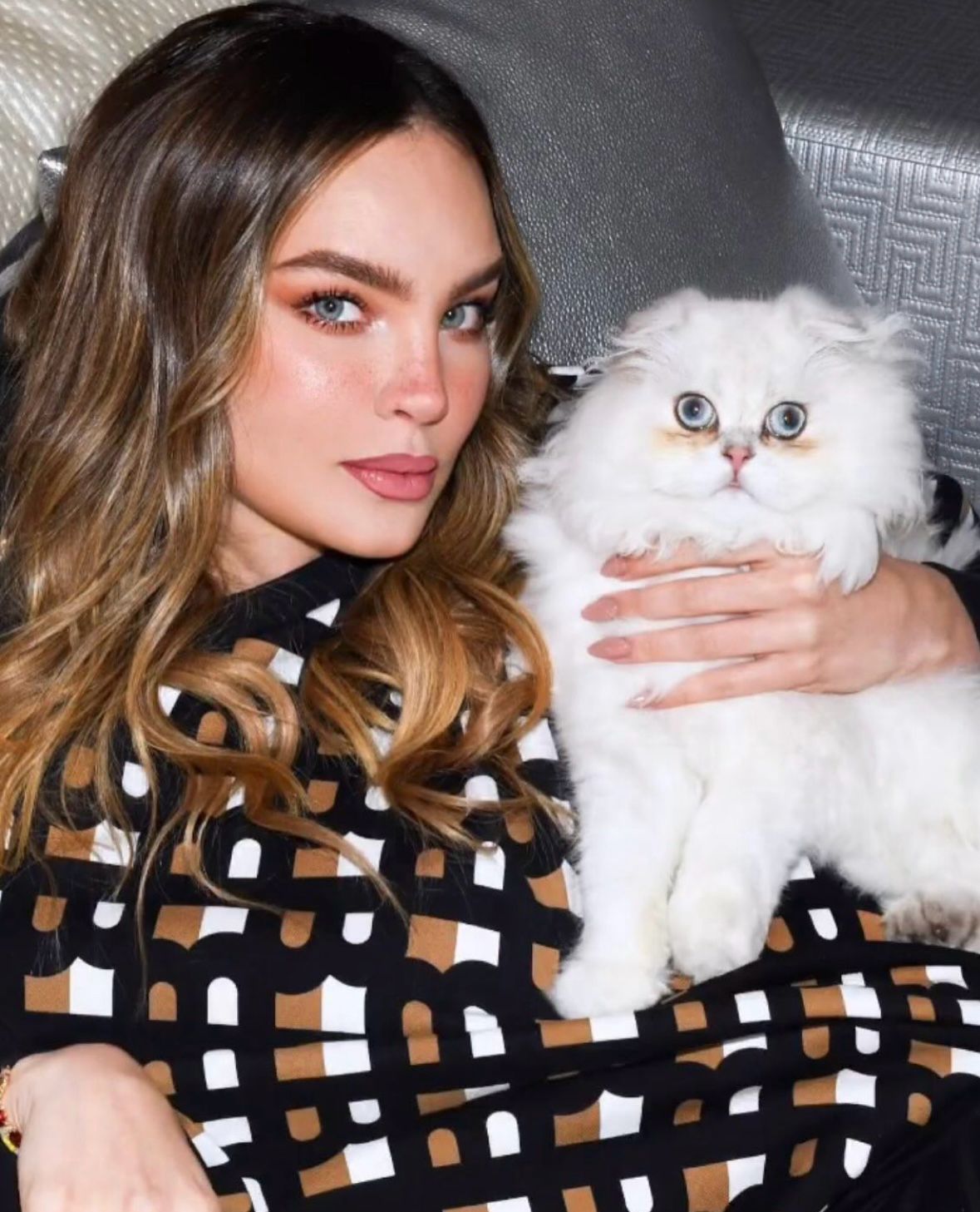 Belinda pide ayuda para localizar a su gato