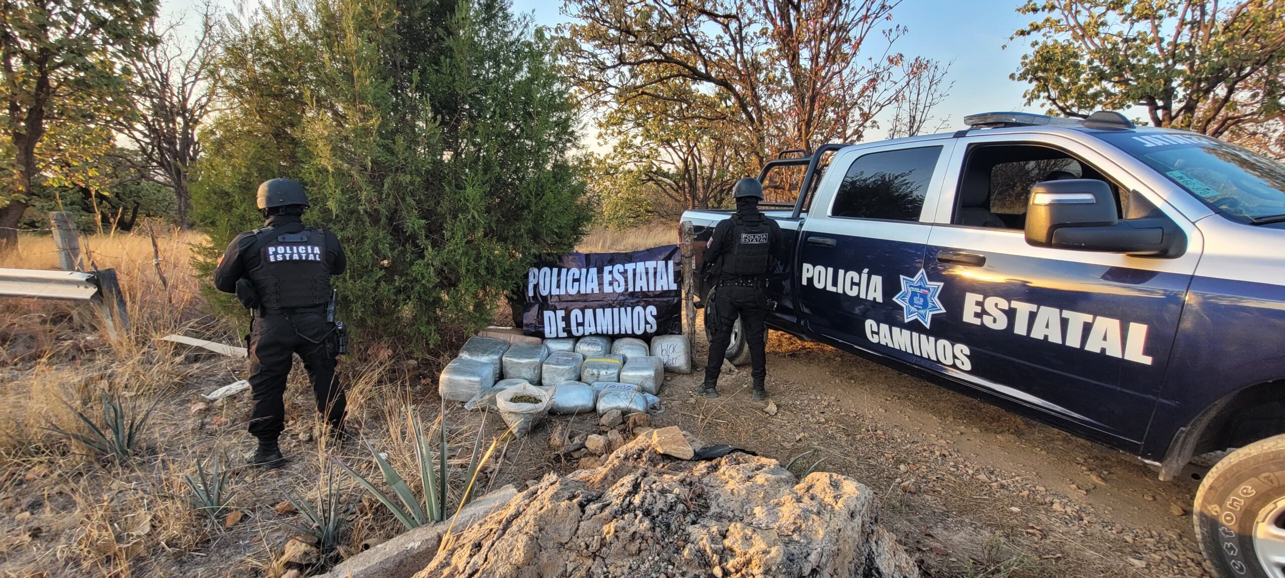 Aseguran 80 kilos de marihuana durante operativo vacacional en Tequila