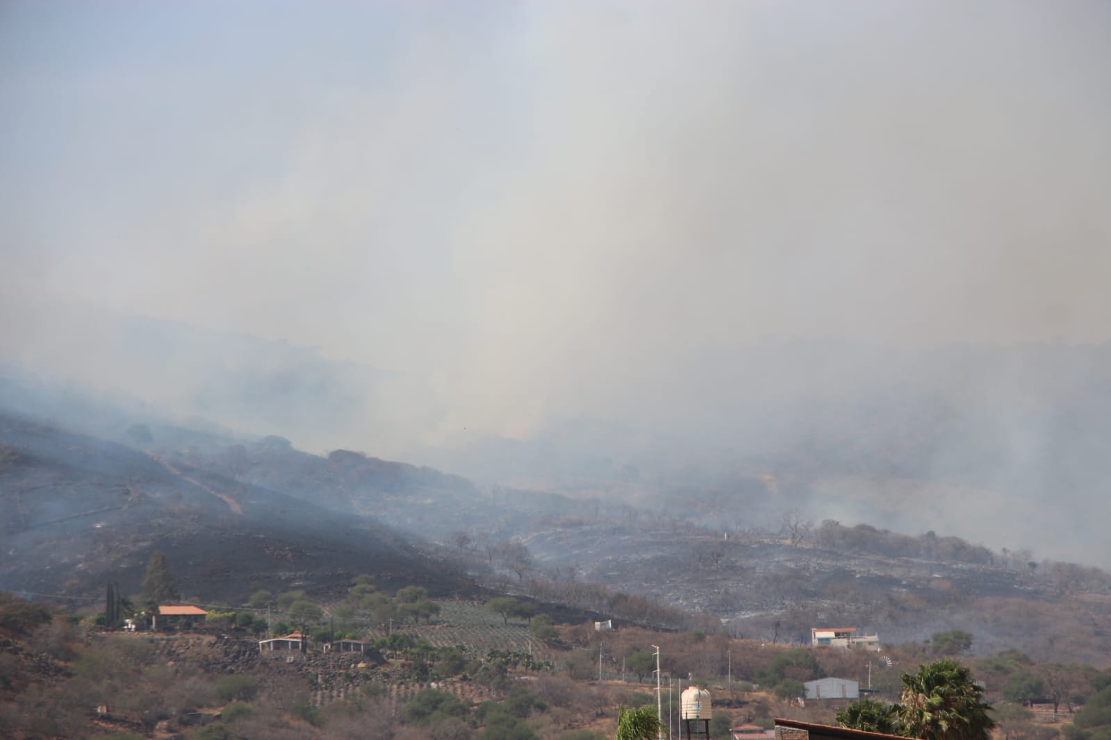 Brigadistas de Tlajomulco extinguieron incendio en el Cerro de Totoltepec