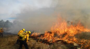 Van mil 100 hectáreas en Yucatán consumidas por el fuego