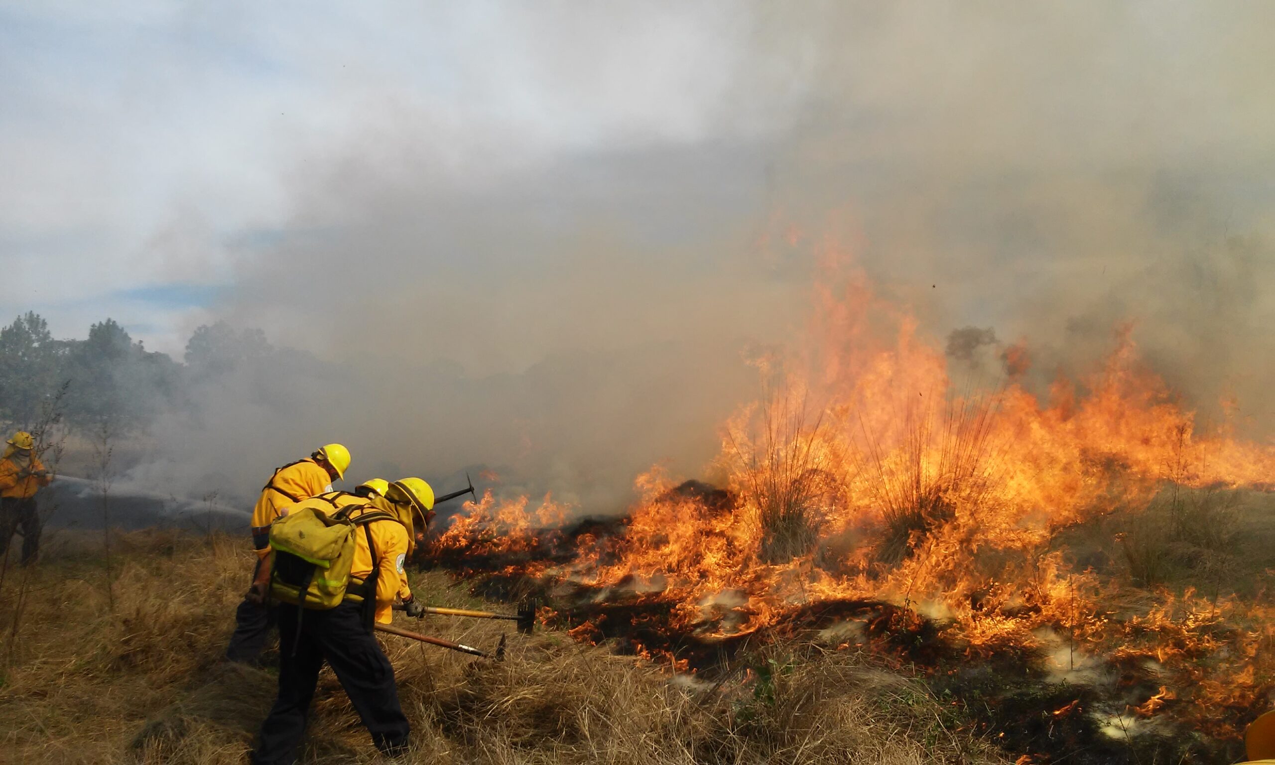 Van mil 100 hectáreas en Yucatán consumidas por el fuego