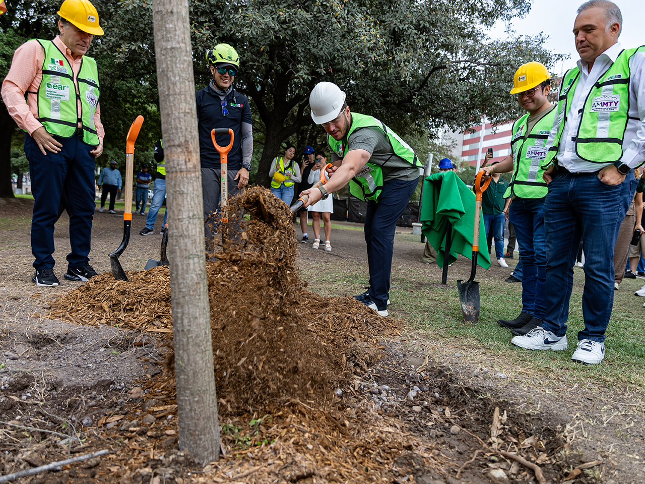 “En estos primeros tres años ya van 650 mil árboles plantados”. – Samuel García
