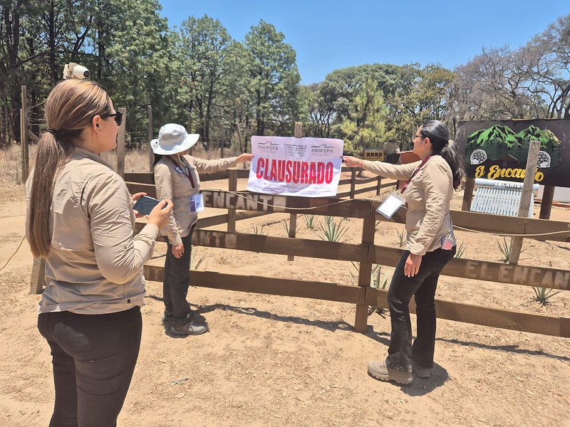 Clausuran Gobierno Estatal y Federal proyectos con afectación al medio ambiente