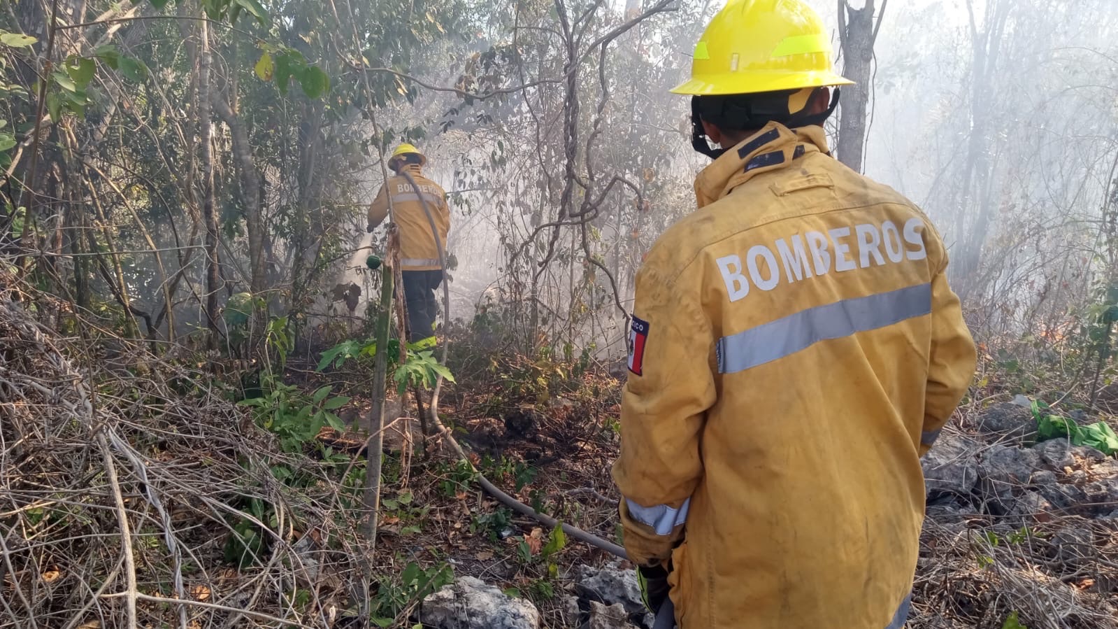 Controlan incendio en CTM y Lilis gracias a respuesta inmediata del Gobierno de Playa del Carmen