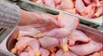 México suspende importaciones de carne de pollo desde Brasil