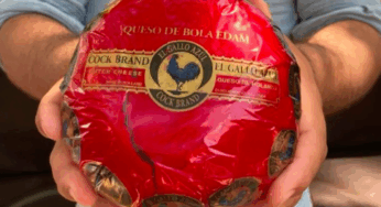 Crisis del queso de bola en Yucatán