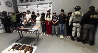 Operación Restitución: Detienen a 12 personas y recuperan 17 predios invadidos en Ecatepec