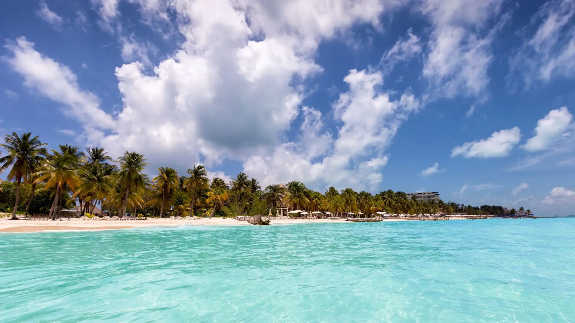 Isla Mujeres: un paraíso natural que cautiva a miles cada día