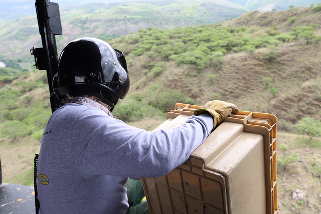 Zapopan lanza 20 mil bombas de semilla para reforestar sus bosques