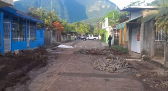 Asesinan a Noé Onofre Flores, excoordinador de campaña del PT en Veracruz