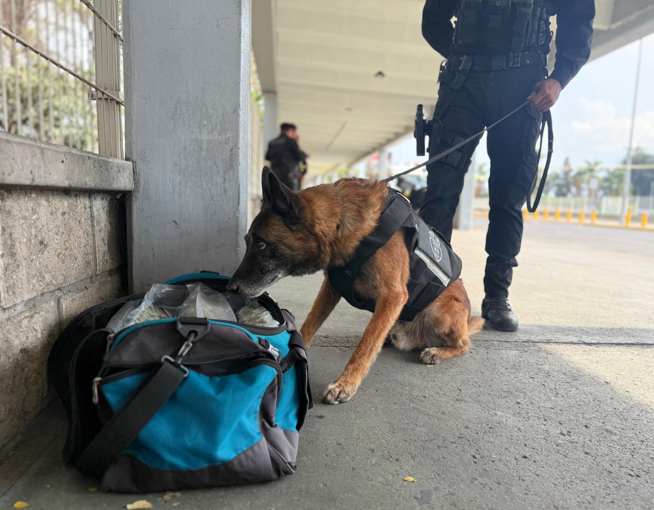 Aseguran maleta con casi cinco kilos de droga en la Central Camionera