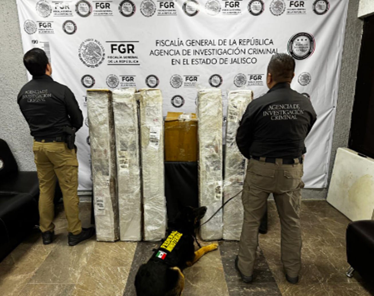 Aseguran más de 18 kilos de marihuana en empresa de paquetería en Jalisco