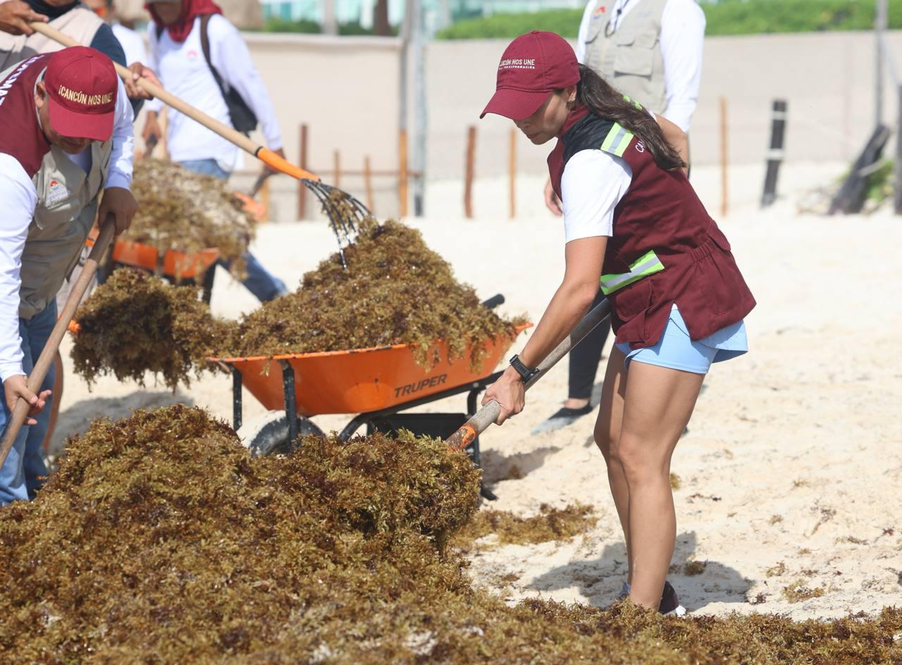 Encabeza Ana Paty Peralta brigadas contra sargazo en playas de Cancún