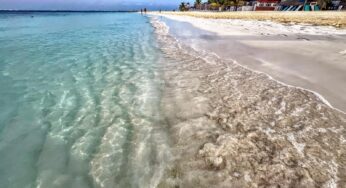 Gobierno de Isla Mujeres atiende oportunamente el arribo de sargazo