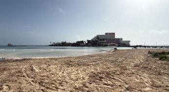 Gobierno Municipal retira cerca de 200 toneladas de sargazo el fin de semana en Isla Mujeres