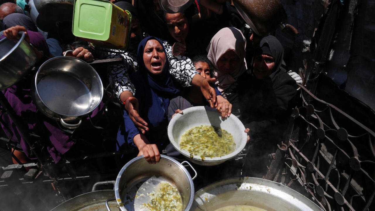 “Hambruna masiva” en Gaza: OMS denuncia aumento de muertes por desnutrición