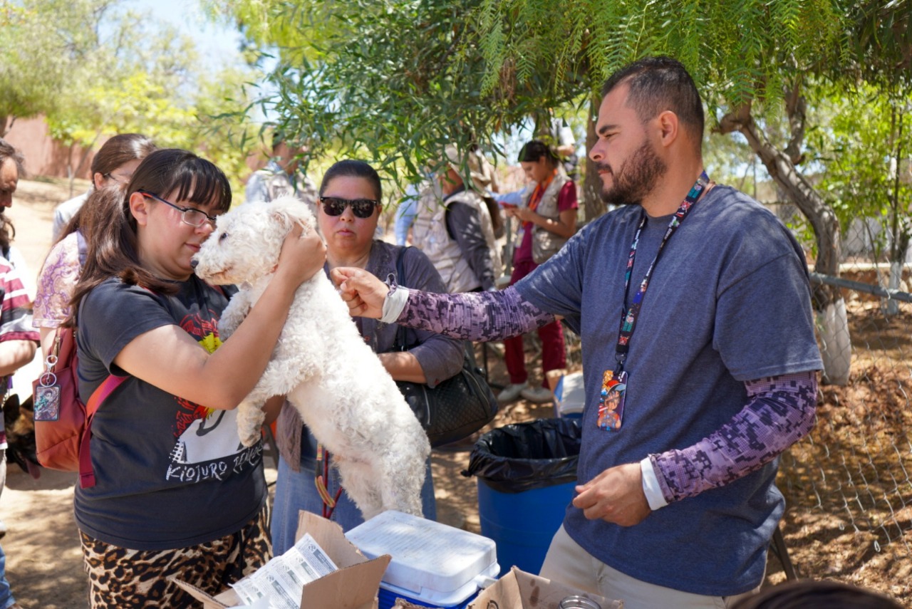 Suman 18 casos de rickettsiosis en Juárez