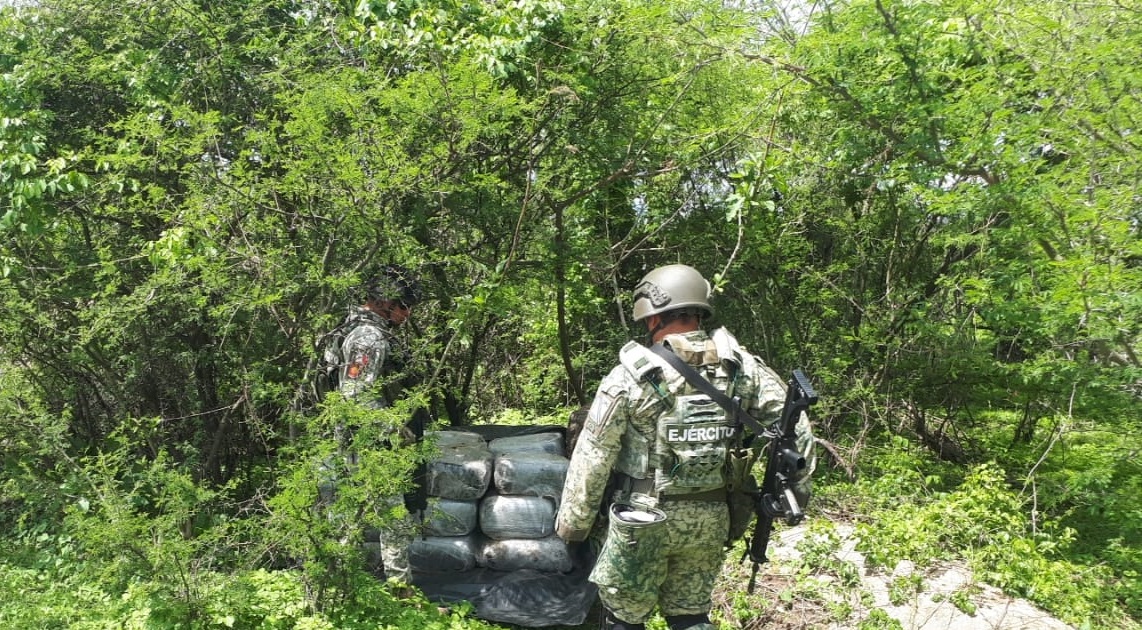 Ejército asegura 320 kilos de marihuana en zona rural de Zapopan