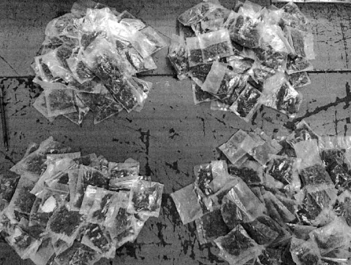 Inhabilitan tomas clandestinas y aseguran narcóticos en Tala