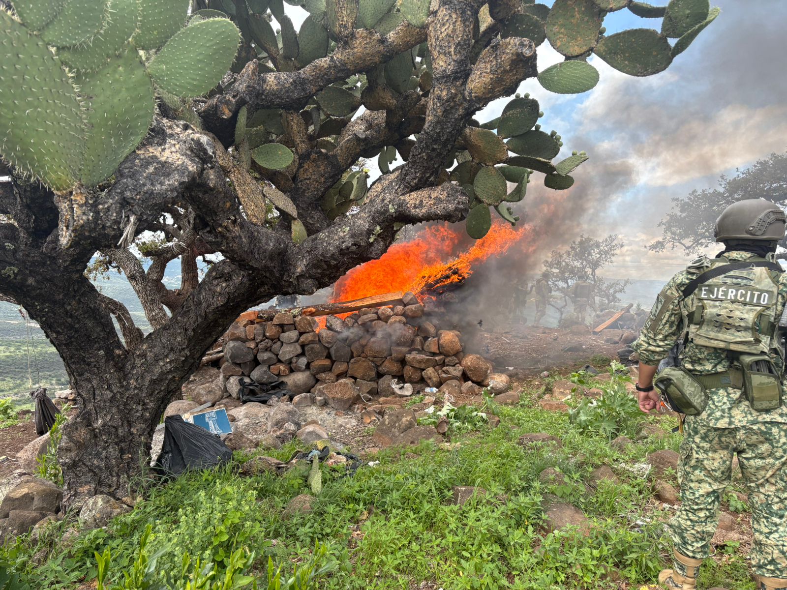 Desmantelan presunto narcocampamento en límites de Jalisco y Zacatecas