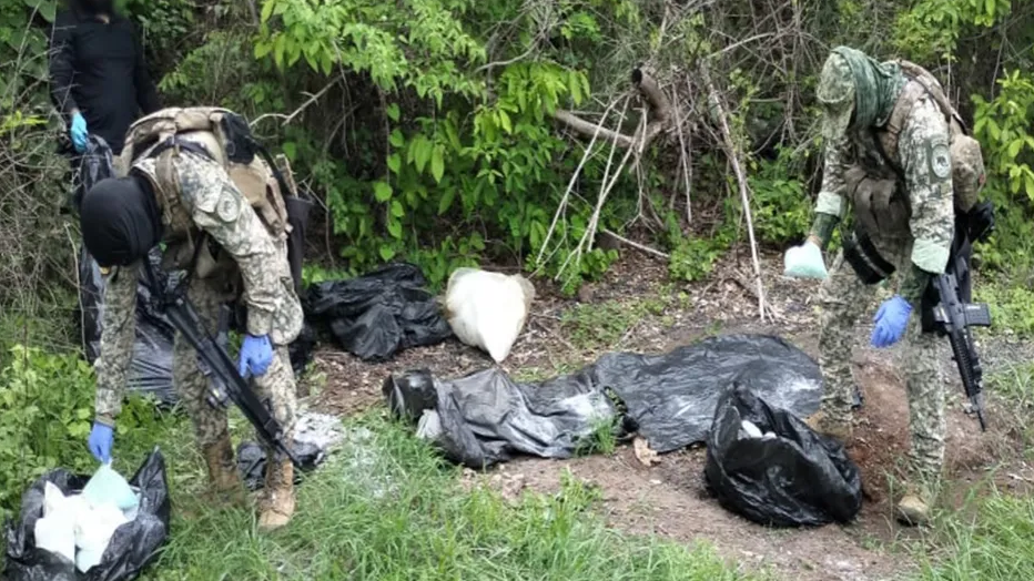 Localizan siete áreas de insumos para metanfetamina en Sinaloa; aseguran más de 3 mil 400 litros de químicos
