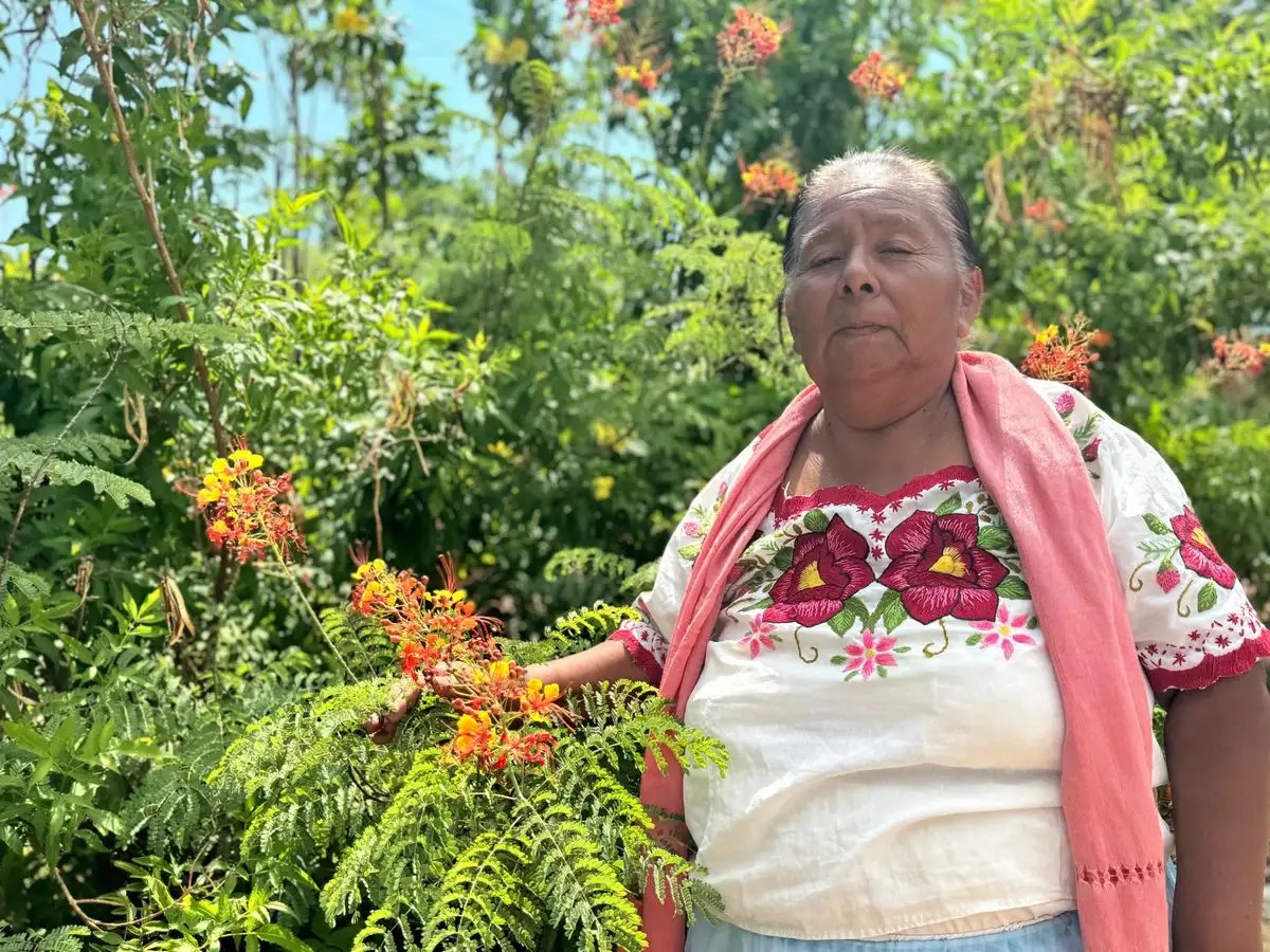 Aprueba Cofepris primer consultorio tradicional indígena en Sonora