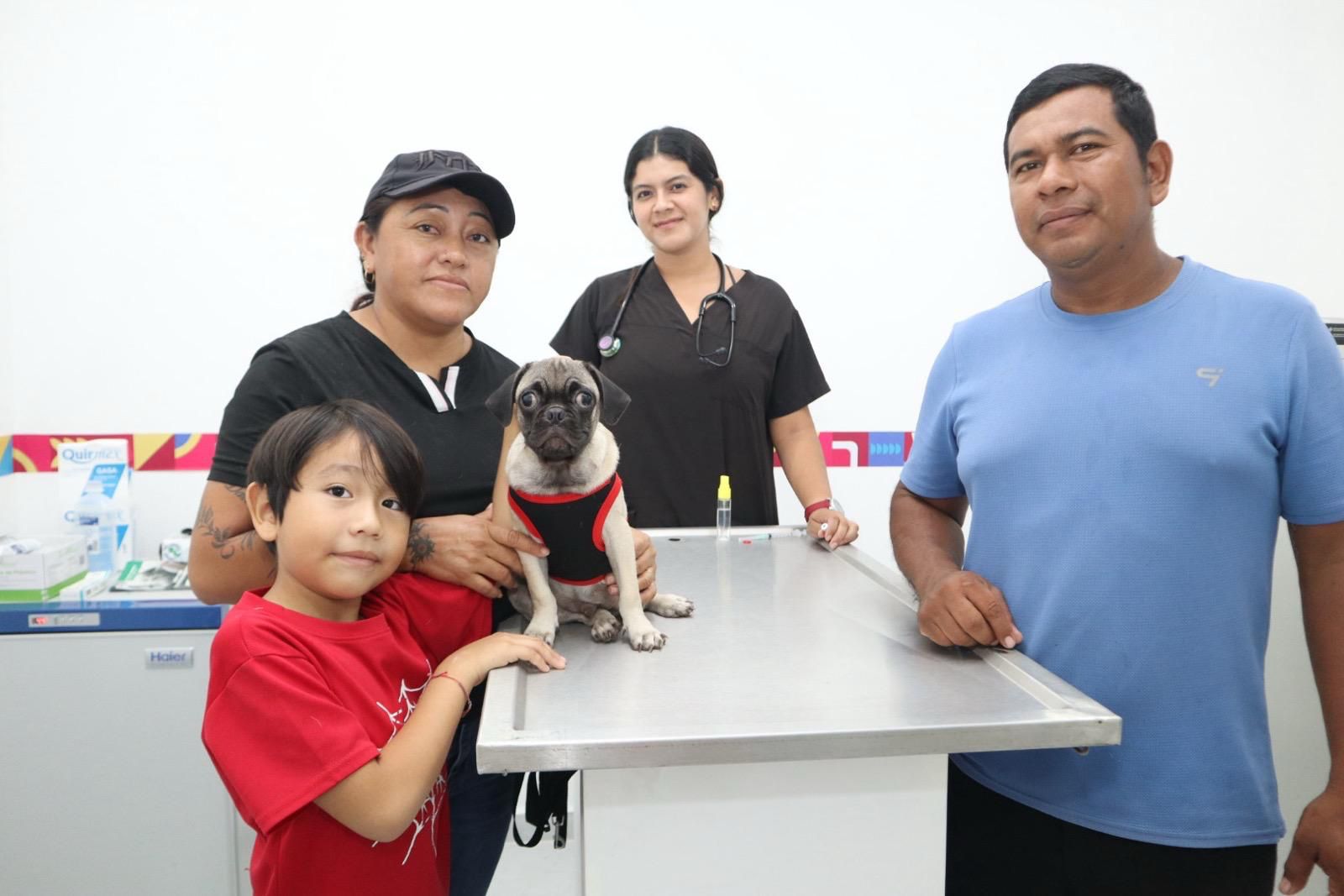 Centro de Bienestar Animal de Isla Mujeres ofrece servicios accesibles para el cuidado y atención de las mascotas de compañía